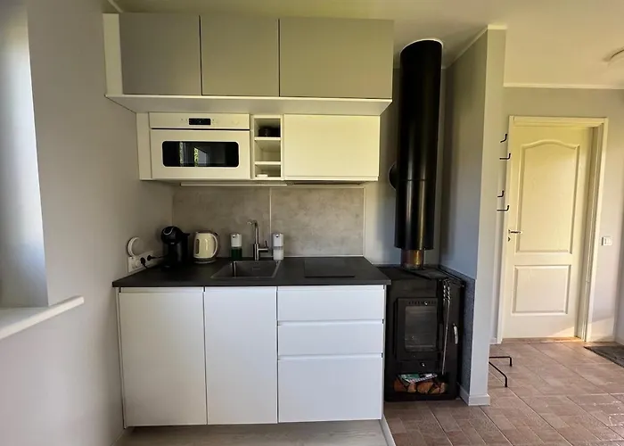 Tiny House With Sauna In Appartement