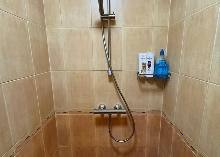 Tiny House With Sauna In Appartement *